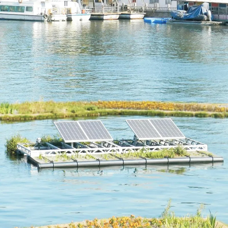 Proiect de management al râului