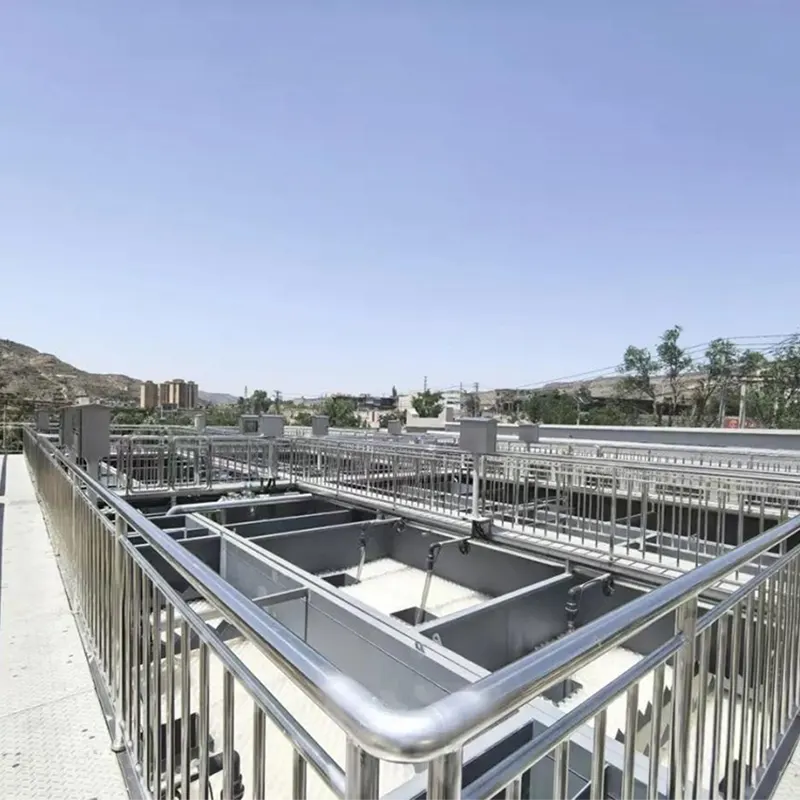 Ingineria epurării biologice a apelor uzate urbane